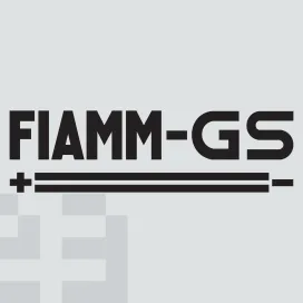 Fiamm gs